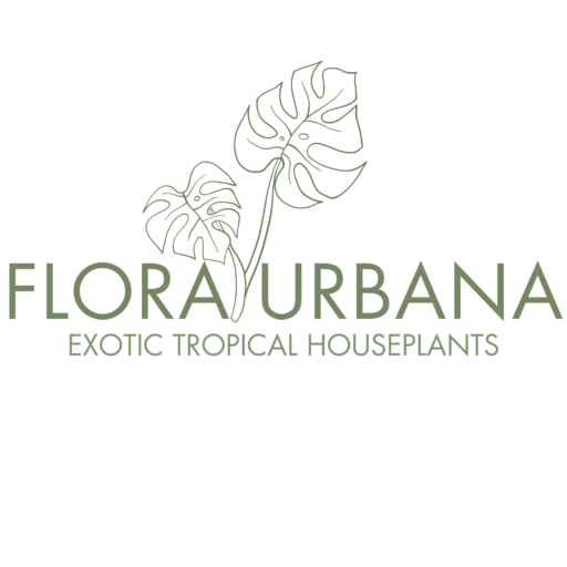 Flora Urbana