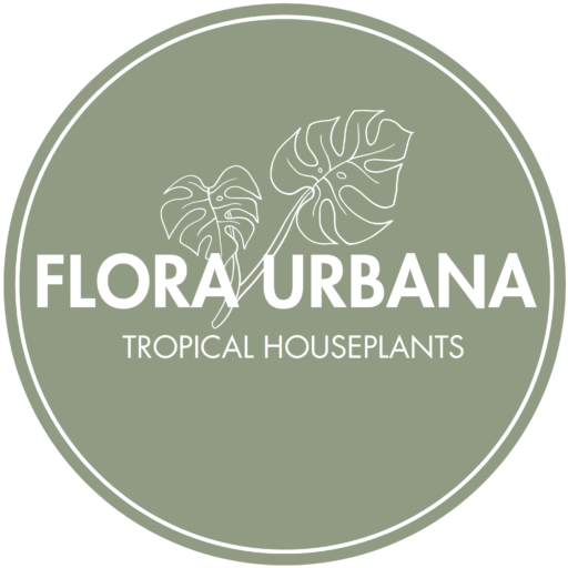 Flora Urbana